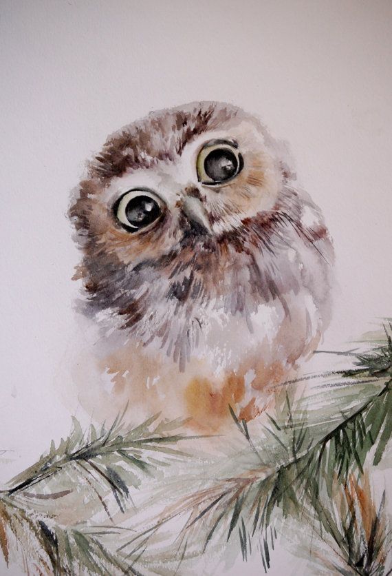 570x836 Owl Ot Galina Na Etsy Allforhappyandlove 2 Owl - Watercolor Pictures Of Owls
