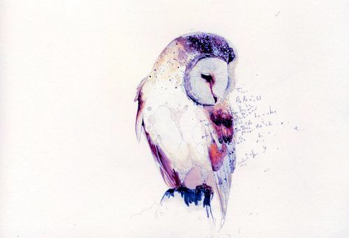 500x342 Watercolor Owl Tattoos Collection - Watercolor Pictures Of Owls