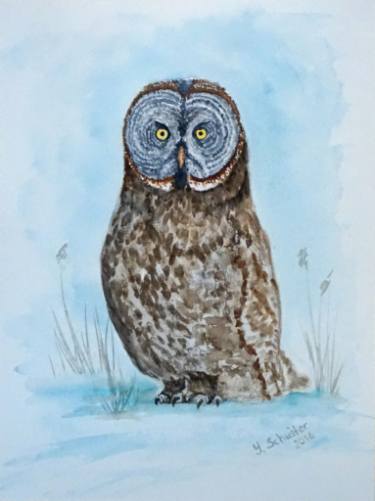 375x501 Watercolor Owls Paintings For Sale Saatchi Art - Watercolor Pictures Of Owls