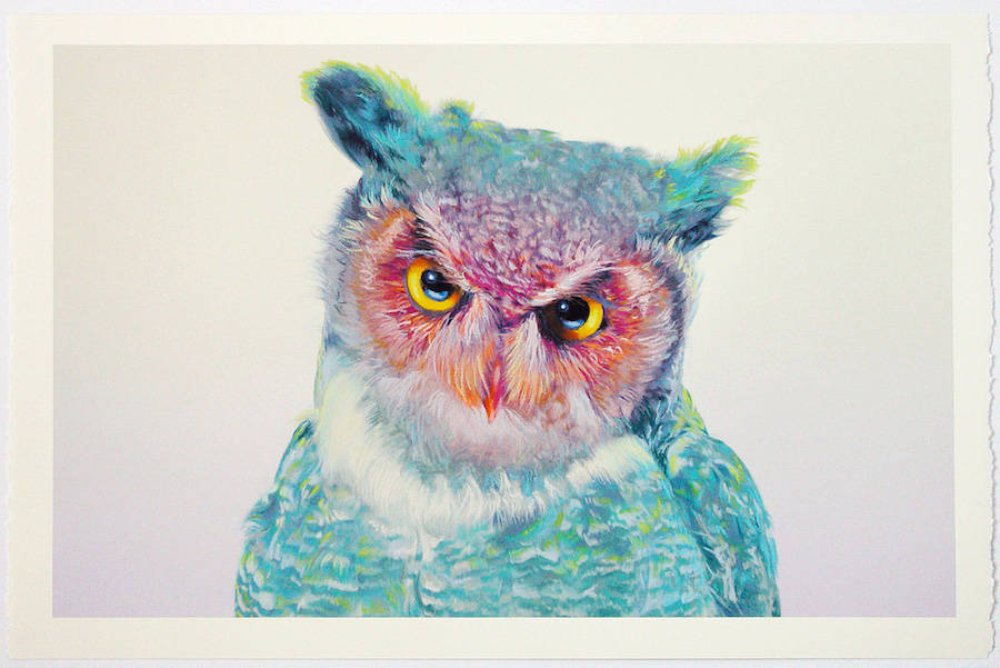 900x601 Wonderful Owl Watercolor Paintings By John Pusateri 99inspiration - Watercolor Pictures Of Owls