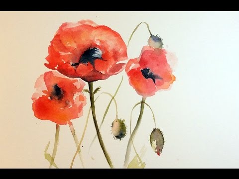 480x360 Watercolor Poppies Real Time Painting Demonstration - Watercolor Pictures Of Poppies