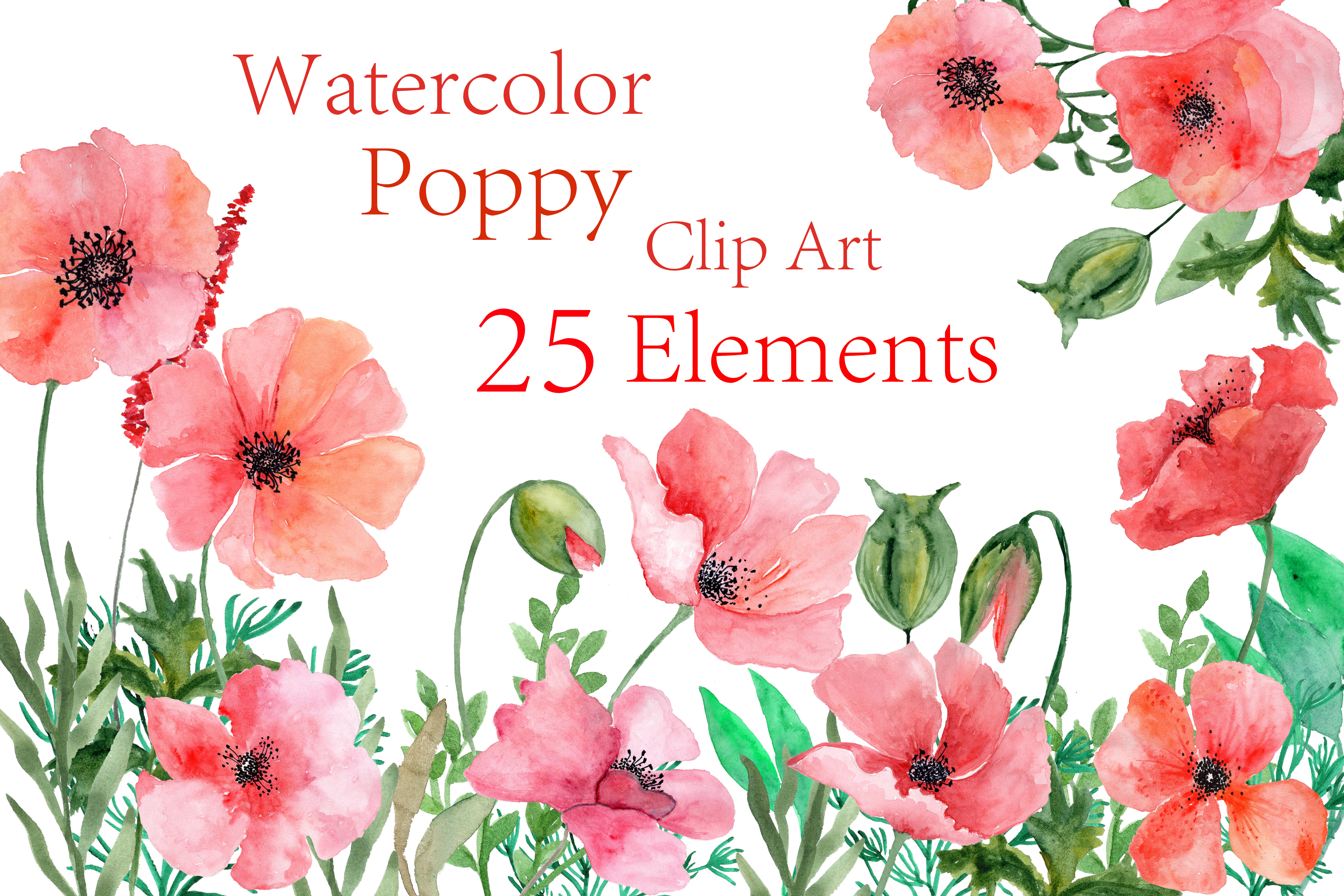 4500x3000 Watercolor Poppy Flowers Clipart - Watercolor Pictures Of Poppies