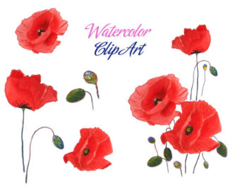 340x270 Watercolor Poppies Etsy - Watercolor Pictures Of Poppies