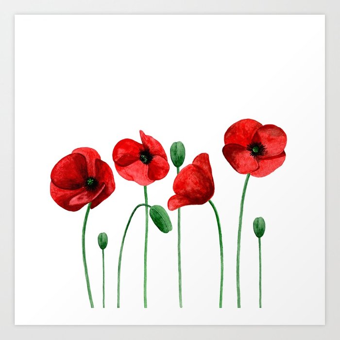 700x700 Watercolor Poppies Red Flowers Botanical Art Gift For Her Floral - Watercolor Pictures Of Poppies