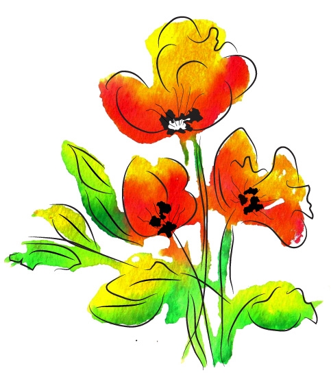 483x547 Watercolor Poppies - Watercolor Pictures Of Poppies