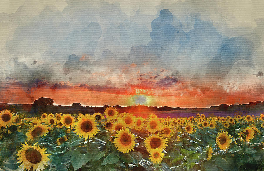 900x585 Watercolor Painting Of Sunflower Summer Sunset Landscape With Bl - Watercolor Pictures Of Sunsets