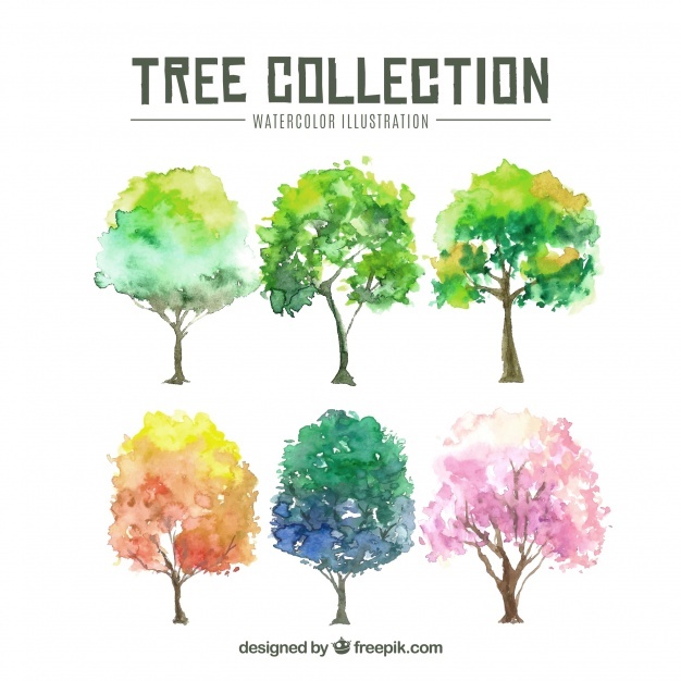 626x626 Watercolor Tree Vectors, Photos And Psd Files Free Download - Watercolor Pictures Of Trees
