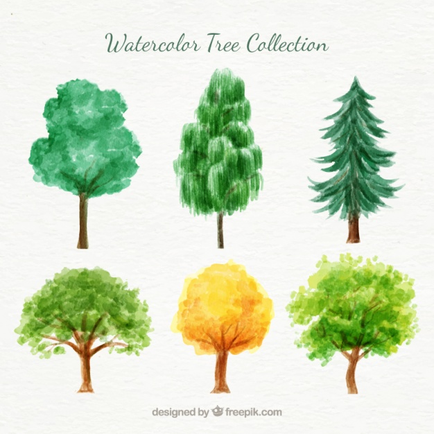 626x626 Watercolor Variety Of Trees Pack Vector Free Download - Watercolor Pictures Of Trees