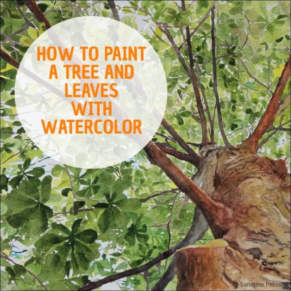600x600 Watercolor Tree Step By Step, How To Paint Trees And Leaves With - Watercolor Pictures Of Trees