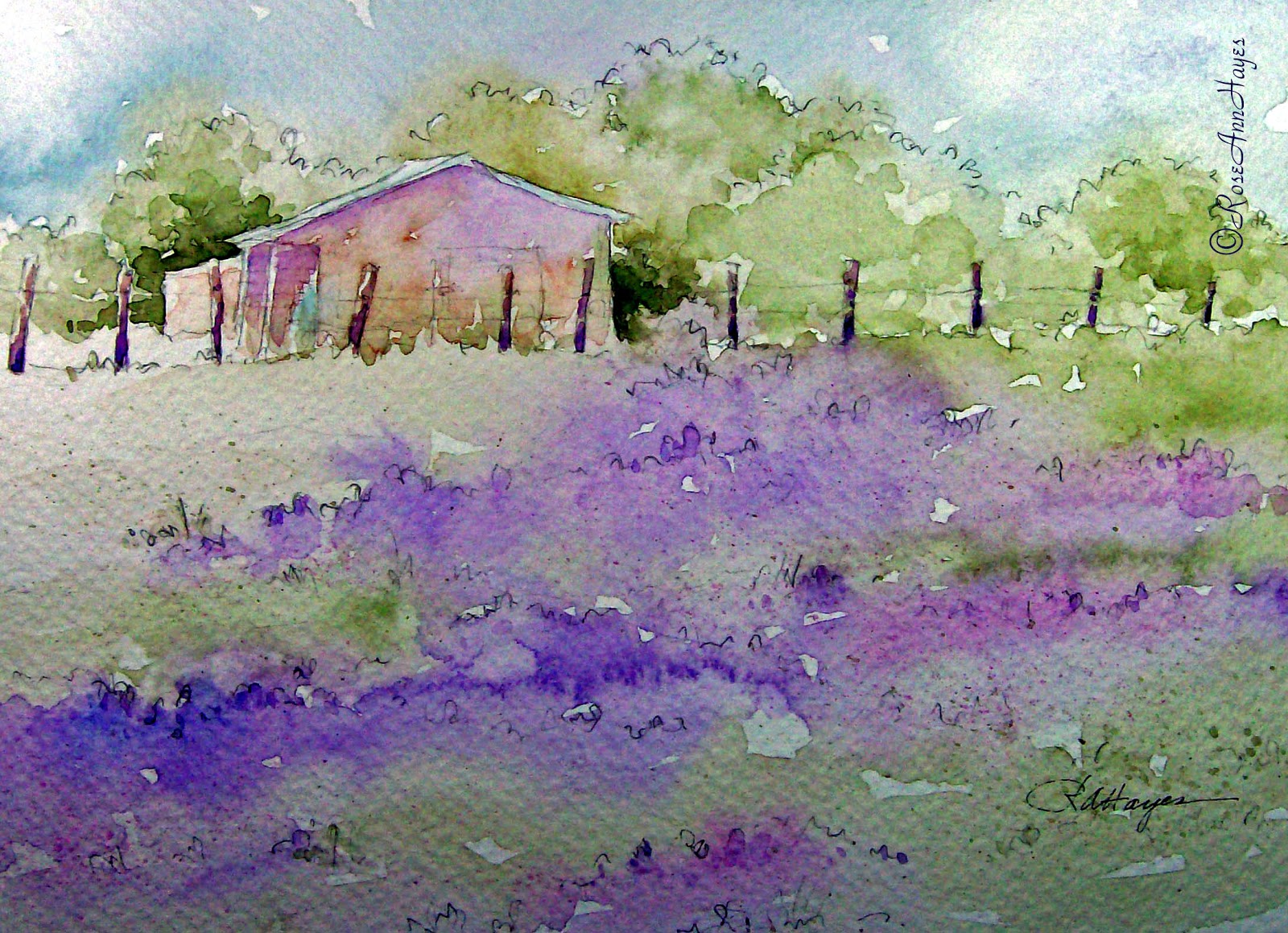 1600x1159 Watercolor Paintings By Roseann Hayes Lavender Field Watercolor - Watercolor Pictures To Copy