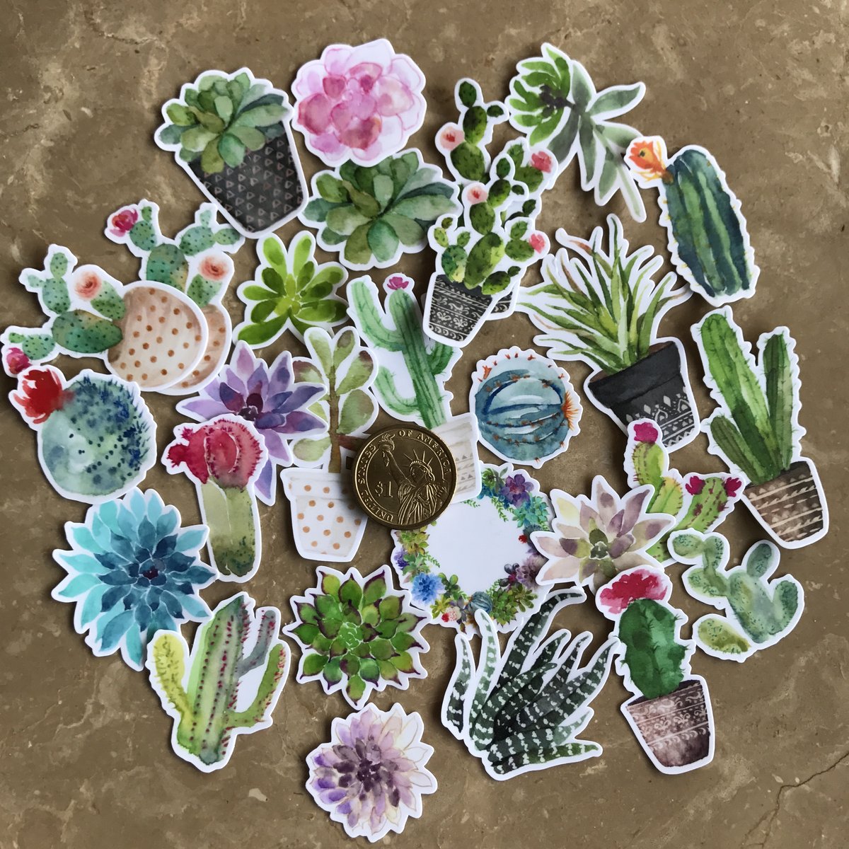 1200x1200 Super Cute Watercolor Cactus And Succulent Plants Stickers For - Watercolor Pieces