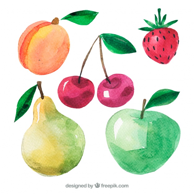 626x626 Variety Of Watercolor Pieces Of Fruit Vector Free Download - Watercolor Pieces