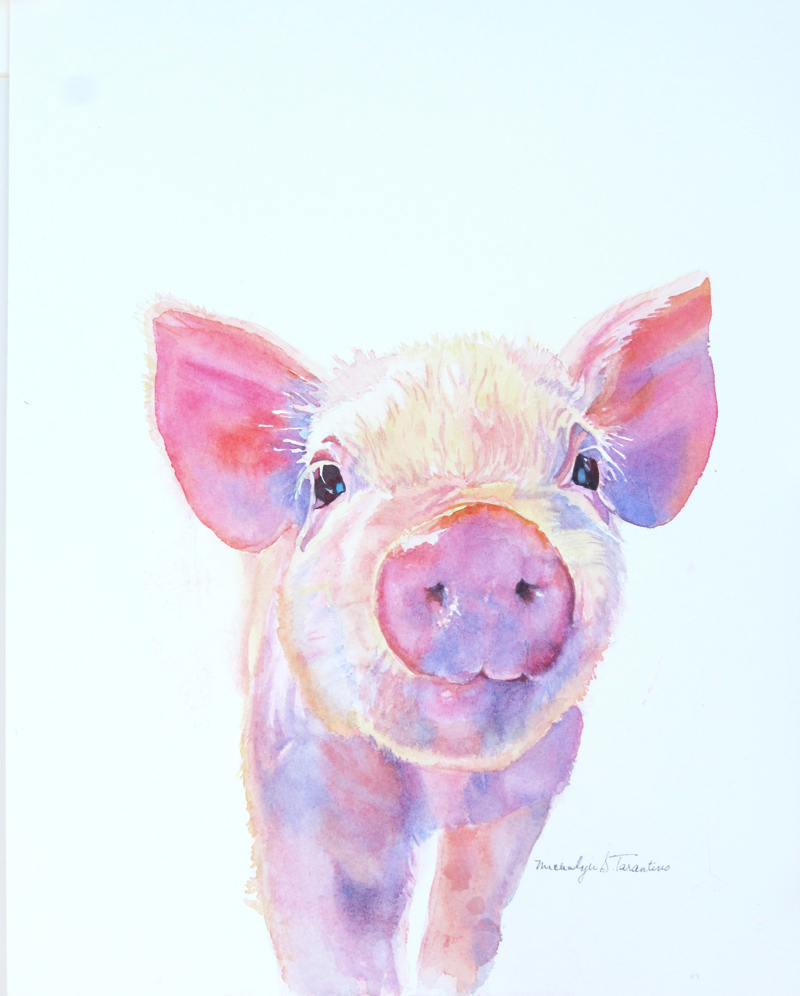 800x996 Mikkey Tarantino Watercolor Painter Local To New Jersey And - Watercolor Pig