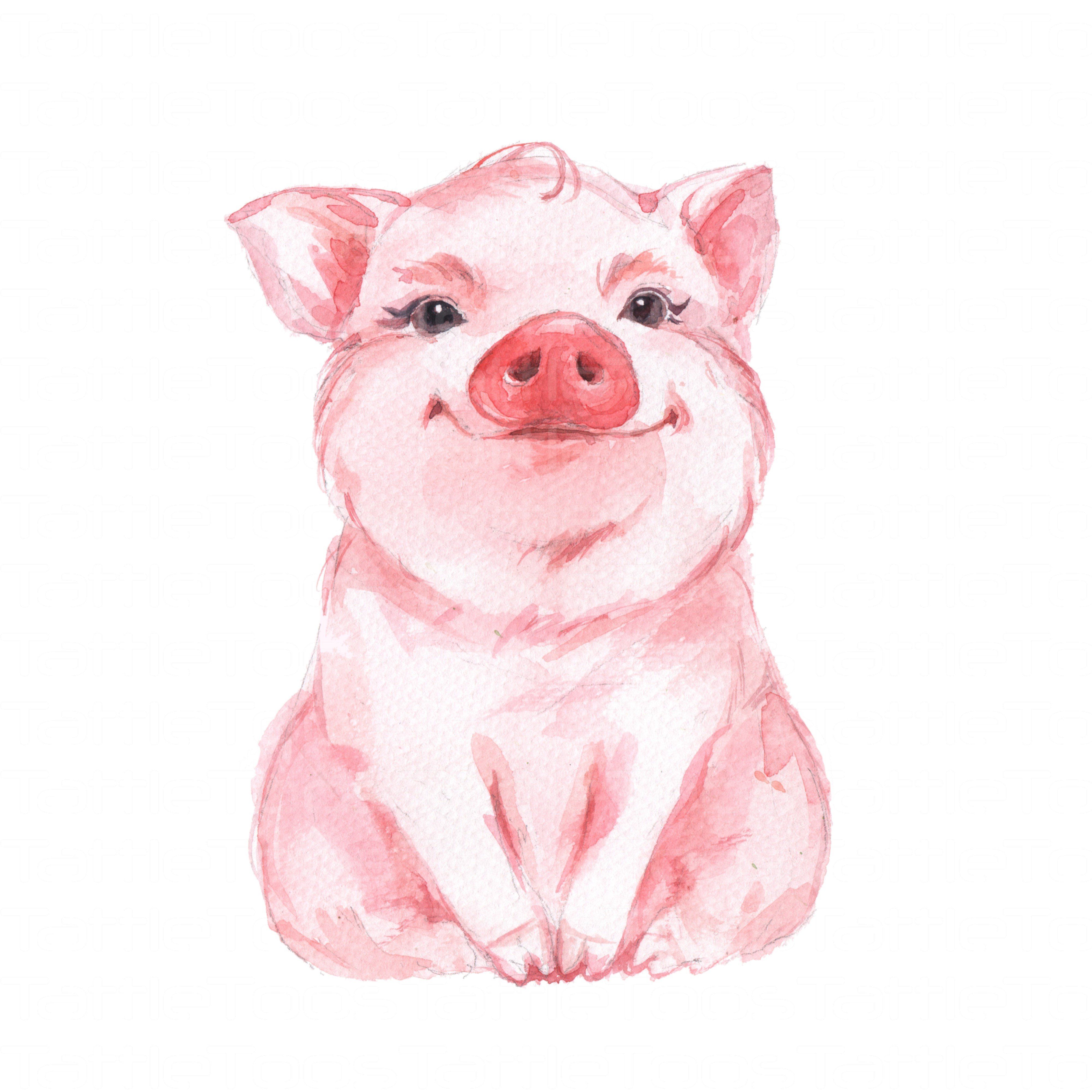 4000x4000 Pigtf 7 Drawings, Watercolor And Animal - Watercolor Pig
