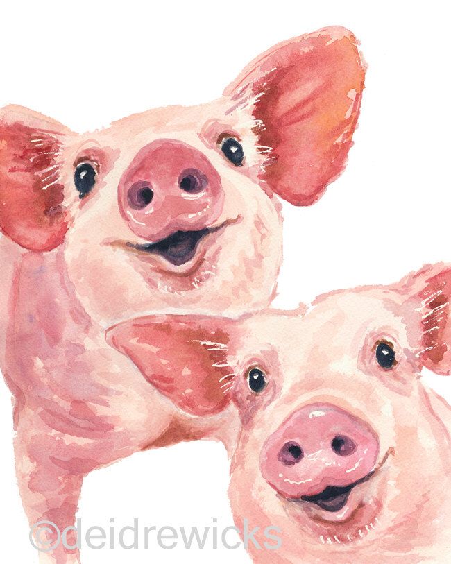 650x813 Pin By Ann An On Animal Pig Illustration, Watercolor - Watercolor Pig