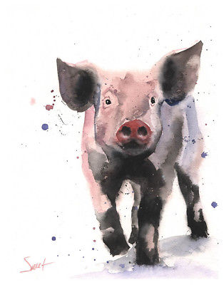 314x400 Watercolor Pig Painting - Watercolor Pig