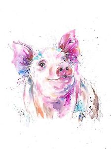 225x300 Highly Collectable Mounted A4 Giclee Art Print Watercolour Pig - Watercolor Pig