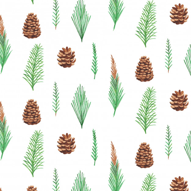 626x626 Pine Leaves Pattern Watercolor Vector Premium Download - Watercolor Pine