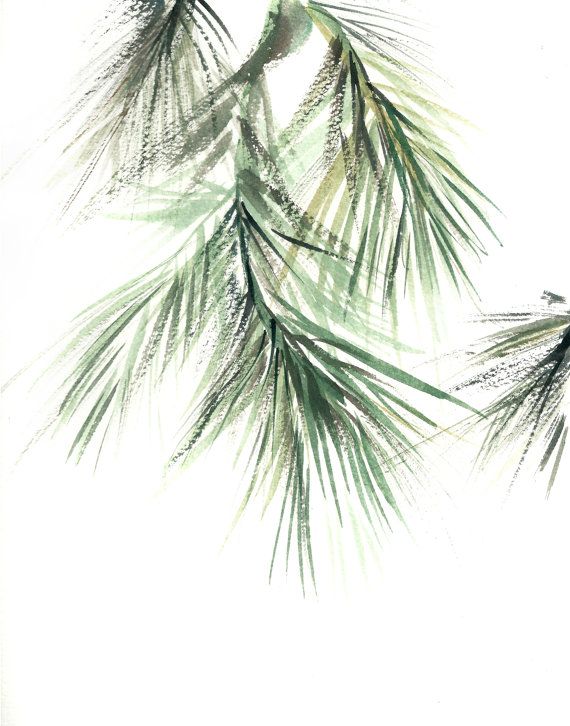 570x726 Pine Tree Branch Minimalist Fine Art Print, Botanical Watercolor - Watercolor Pine