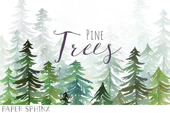570x379 Watercolor Pine Trees Clipart Christmas Clipart Winter Etsy - Watercolor Pine
