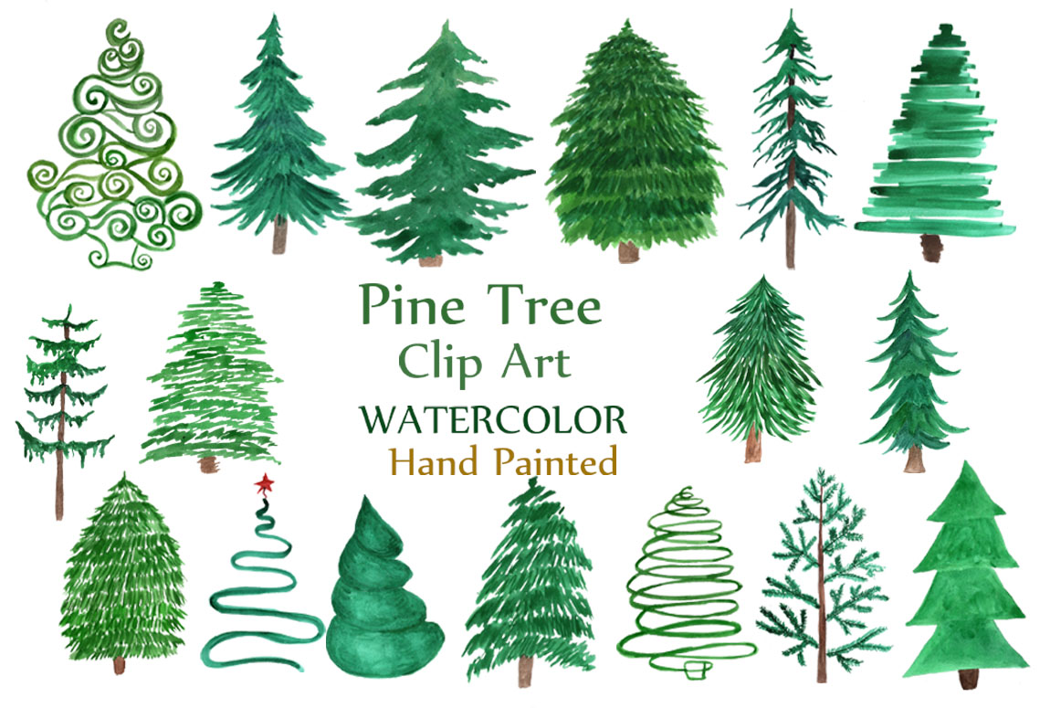 1162x775 Watercolor Pine Trees Clipart - Watercolor Pine