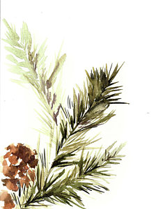 224x300 Watercolor Pine Trees Paintings Fine Art America - Watercolor Pine
