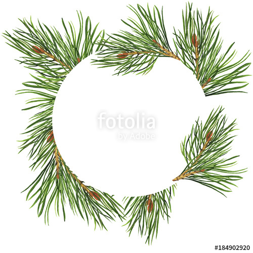 500x500 Pine Branch Circle Isolated On White Background. Design For Logo - Watercolor Pine Branch
