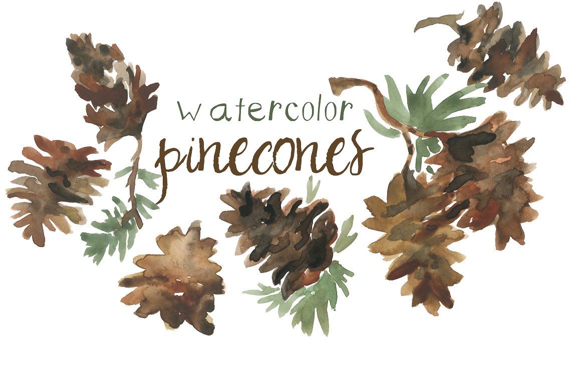 1160x772 Pinecone Clipart Watercolor ~ Frames ~ Illustrations ~ Hd Images - Watercolor Pine Branch