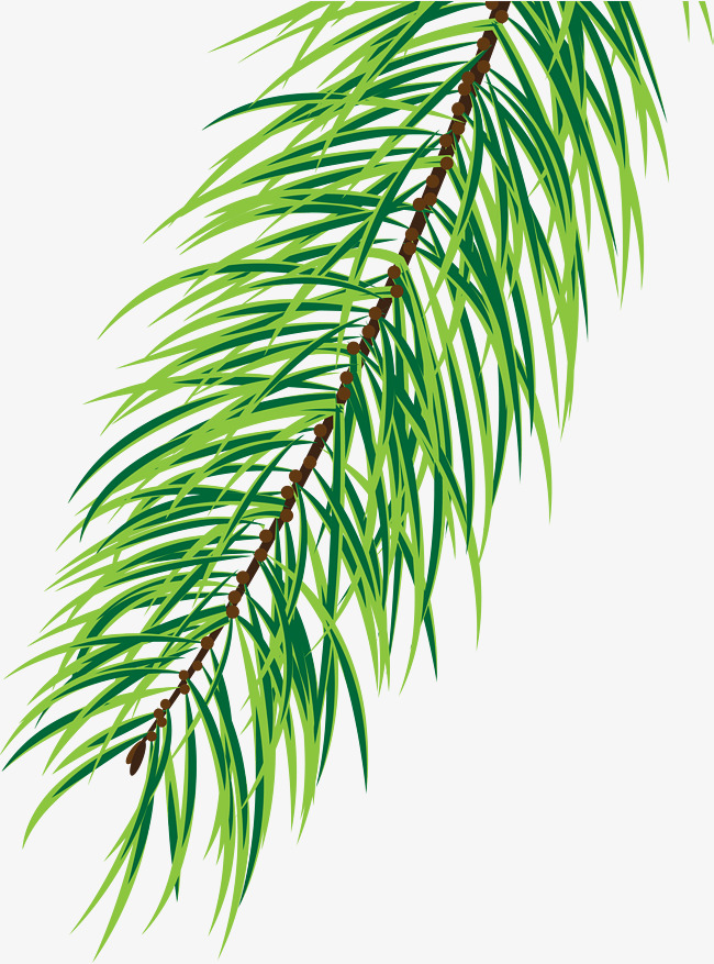 650x877 Small Fresh Green Pine, Brown Branches, Watercolor, Green Plants - Watercolor Pine Branch