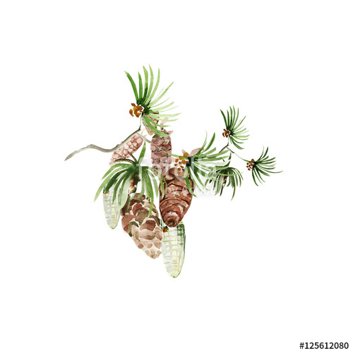 500x500 Watercolor Winter Pattern Of Christmas Pine Branch With Cones - Watercolor Pine Branch