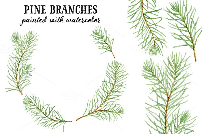 700x466 Watercolor Pine Branches By Helga Wigandt On Creative Market The - Watercolor Pine Branch