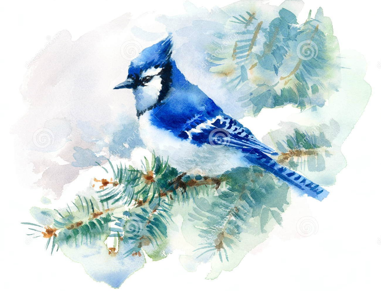 1299x991 Image - Watercolor Pine Branch