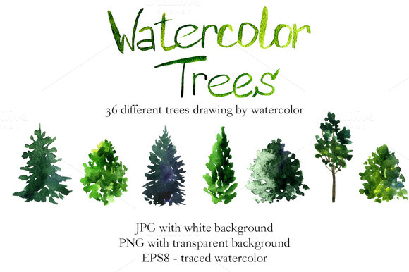 580x386 Pine Tree Clipart Many Tree - Watercolor Pine Tree