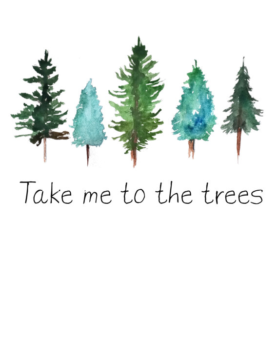 570x738 Take Me To The Trees - Watercolor Pine Tree