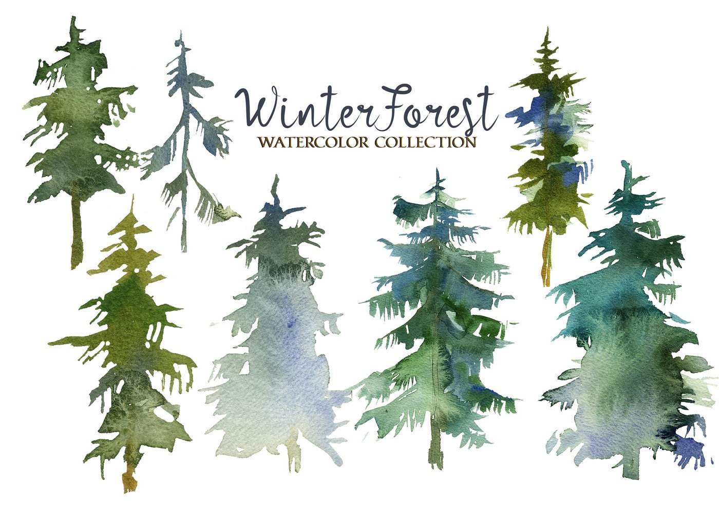 1400x1000 Winter Forest Watercolor Clipart - Watercolor Pine Tree