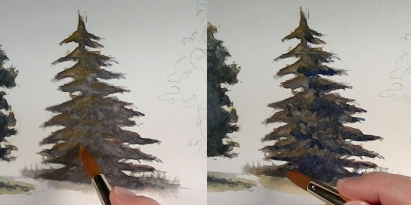 800x400 How To Paint Trees With Watercolor - Watercolor Pine Tree