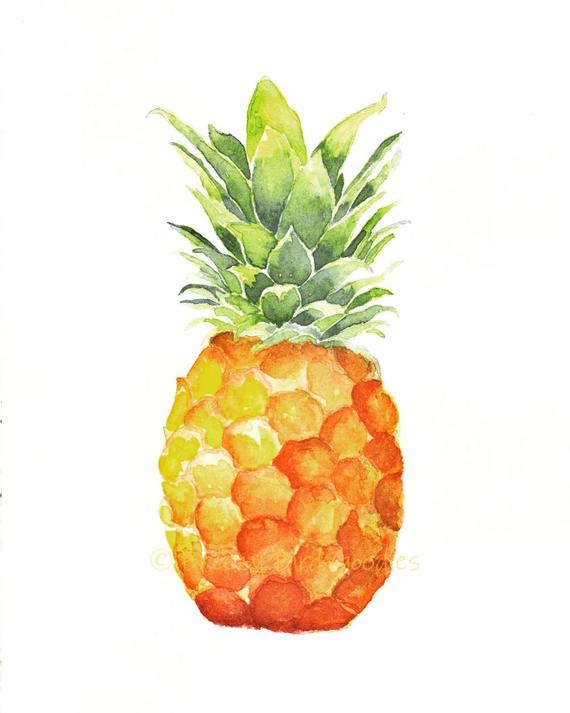 570x713 Pineapple Print Watercolour Pineapple Fruit Watercolor Art Etsy - Watercolor Pineapple