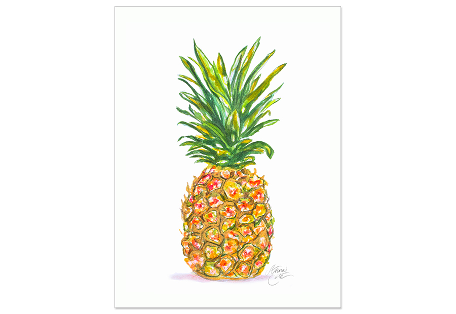 900x620 Watercolor - Watercolor Pineapple
