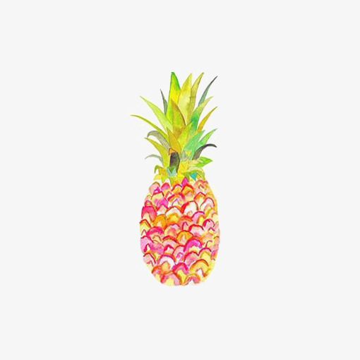 510x510 Watercolor Pineapple, Watercolor Clipart, Pineapple Clipart, Hand - Watercolor Pineapple