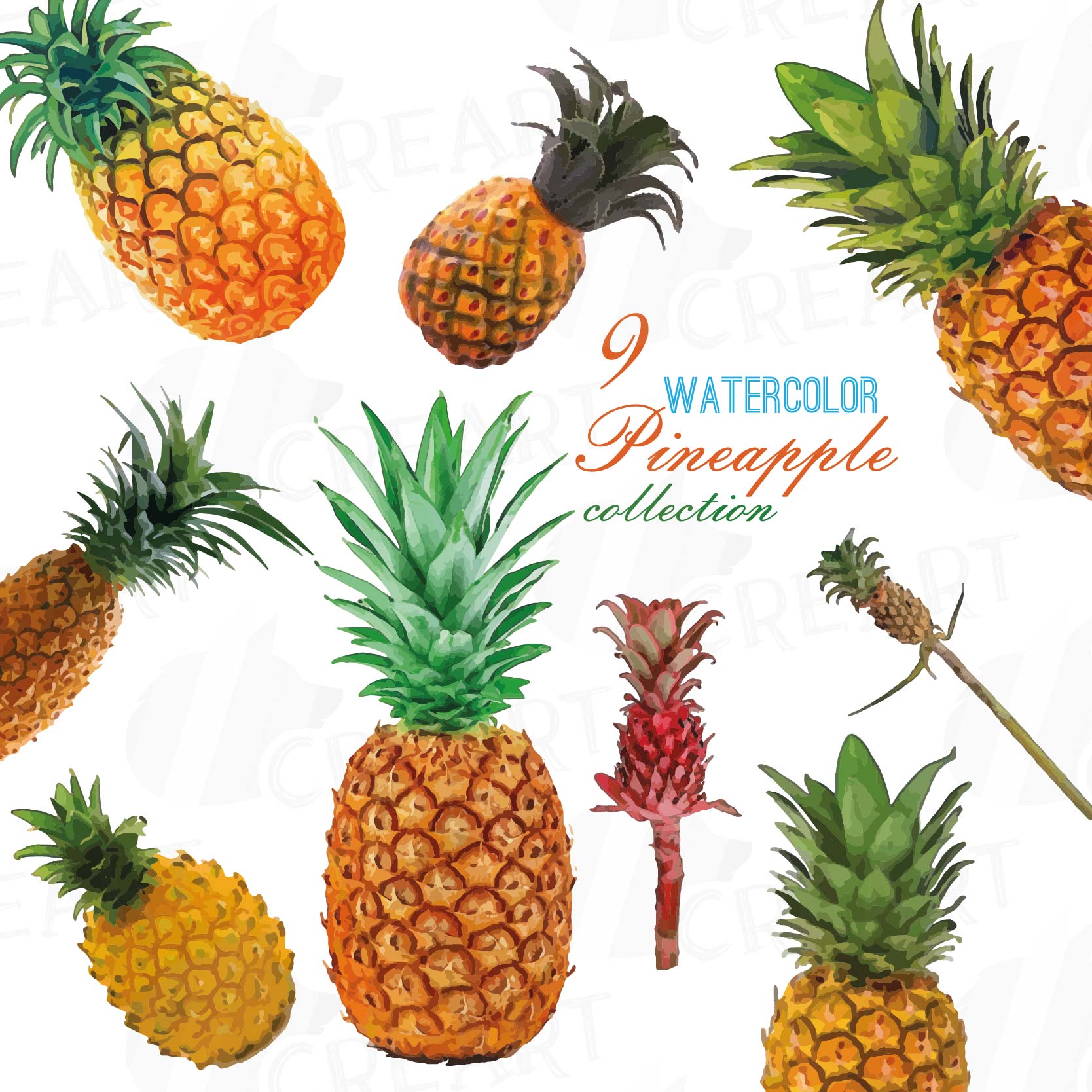 1668x1668 Watercolor Pineapple Clip Art Pack, Watercolor Ananas Clip Art - Watercolor Pineapple