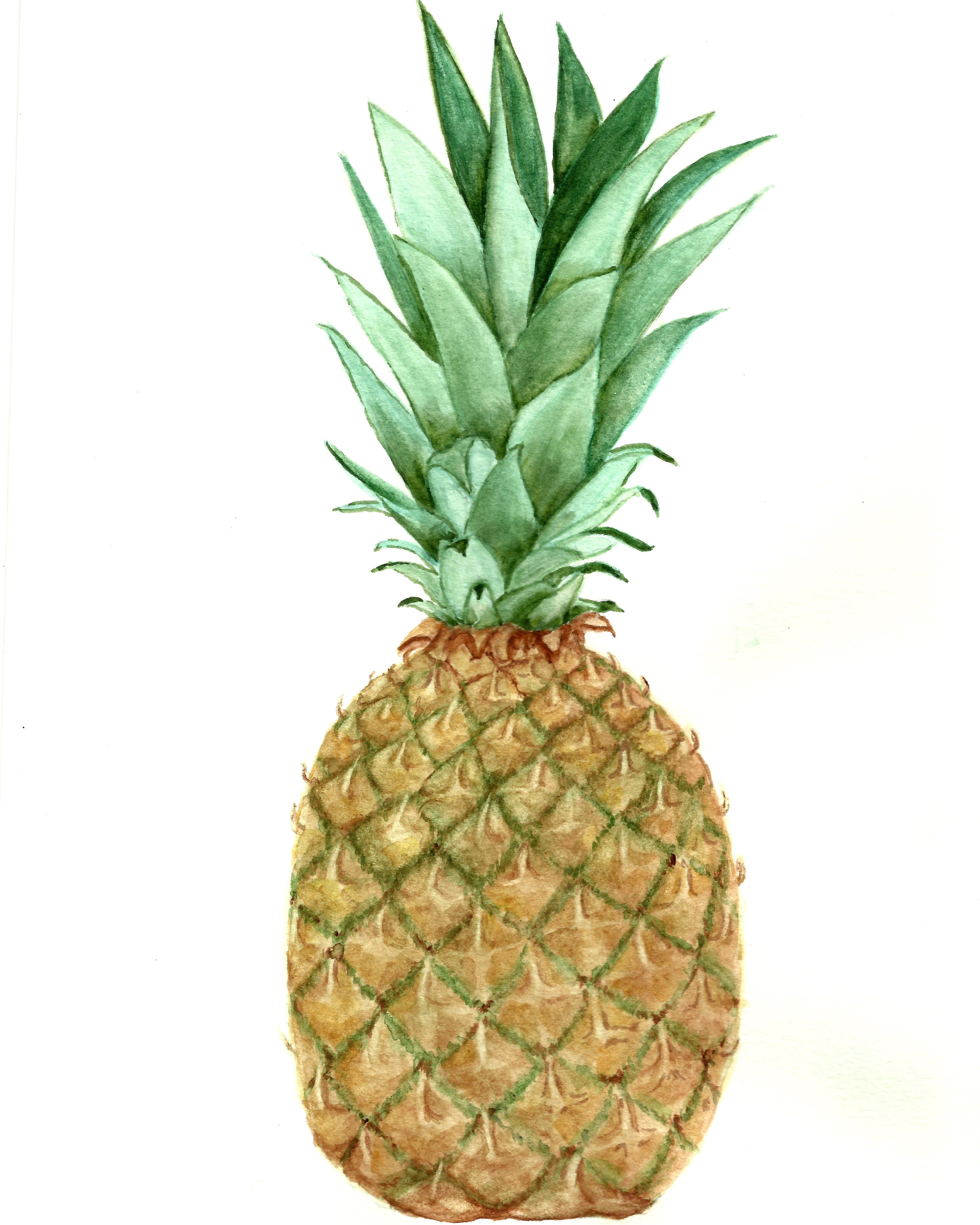 4756x5945 Free Pineapple Watercolor Printable! - Watercolor Pineapple