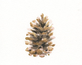 340x270 Pinecone Art Etsy - Watercolor Pinecone