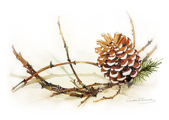 570x406 Watercolor Painting Pine Cone With Branch Painting Etsy - Watercolor Pinecone