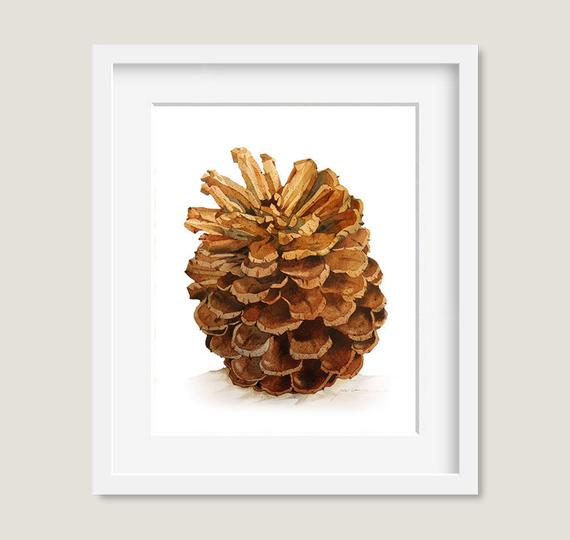 570x540 Watercolor Painting Pinecone Painting Watercolor Pinecone Etsy - Watercolor Pinecone