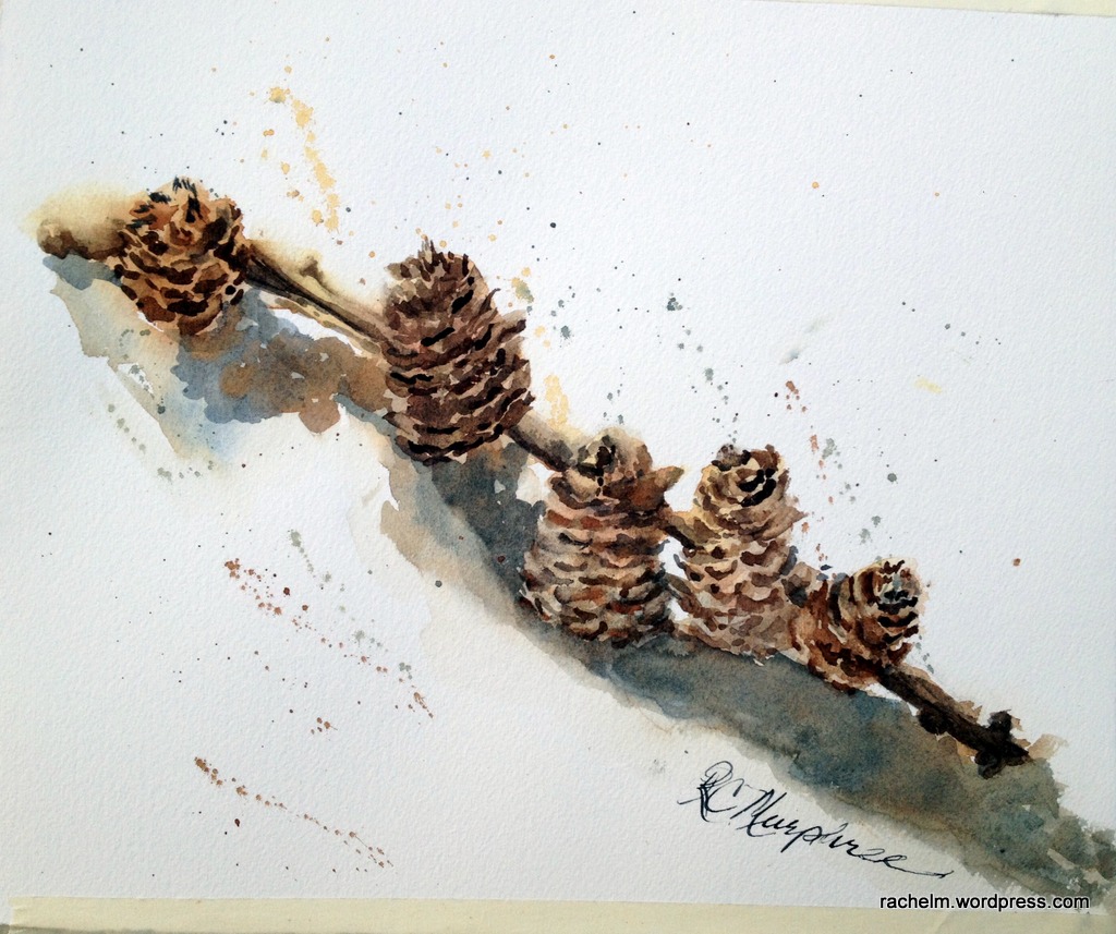 1024x857 Pinecones Rachel Murphree Watercolors - Watercolor Pinecone