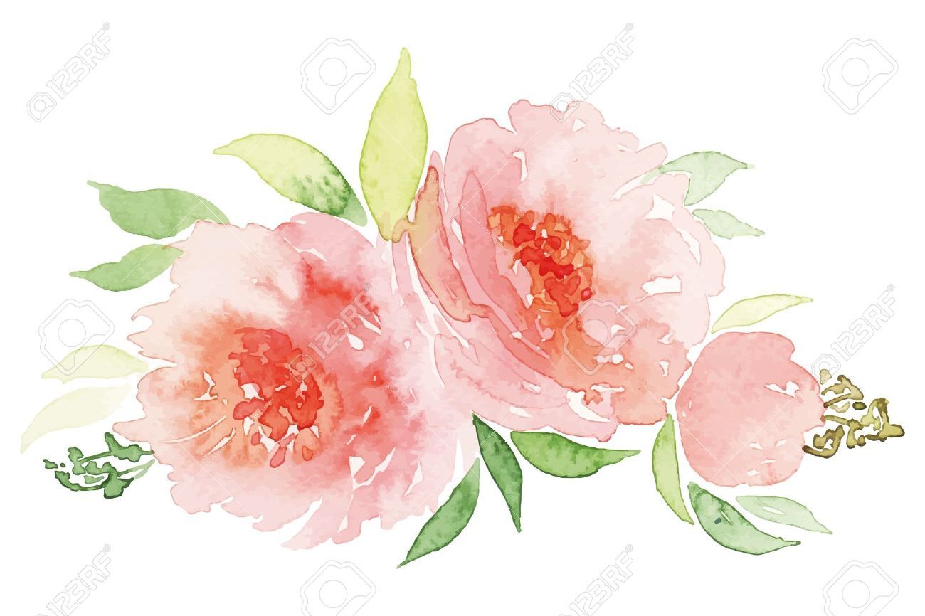 1300x866 Image Result For Watercolor Pink Flowers Diy Planner (Blank - Watercolor Pink Flowers