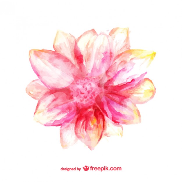 626x626 Pink Flower Watercolor Card Vector Free Download - Watercolor Pink Flowers