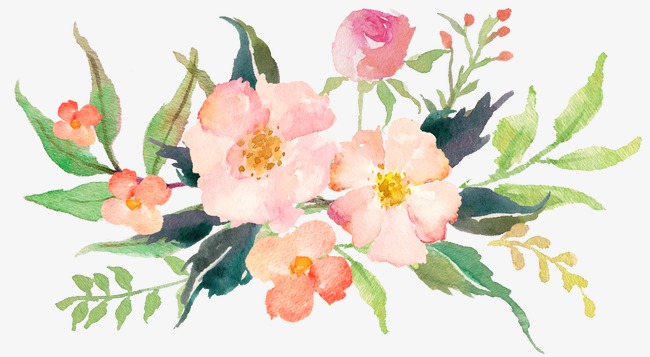 Watercolor Pink Flowers at PaintingValley.com | Explore collection of ...