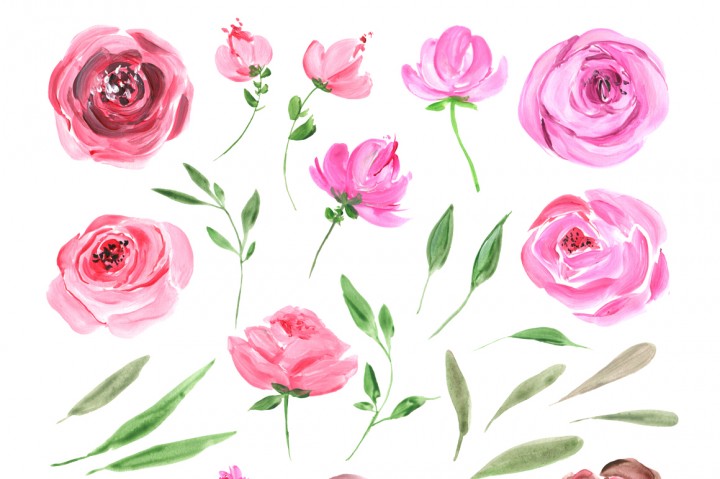 720x479 Acrylic Watercolor Pink Amp Red Roses, Peonies Flowers Png Set By - Watercolor Pink Flowers