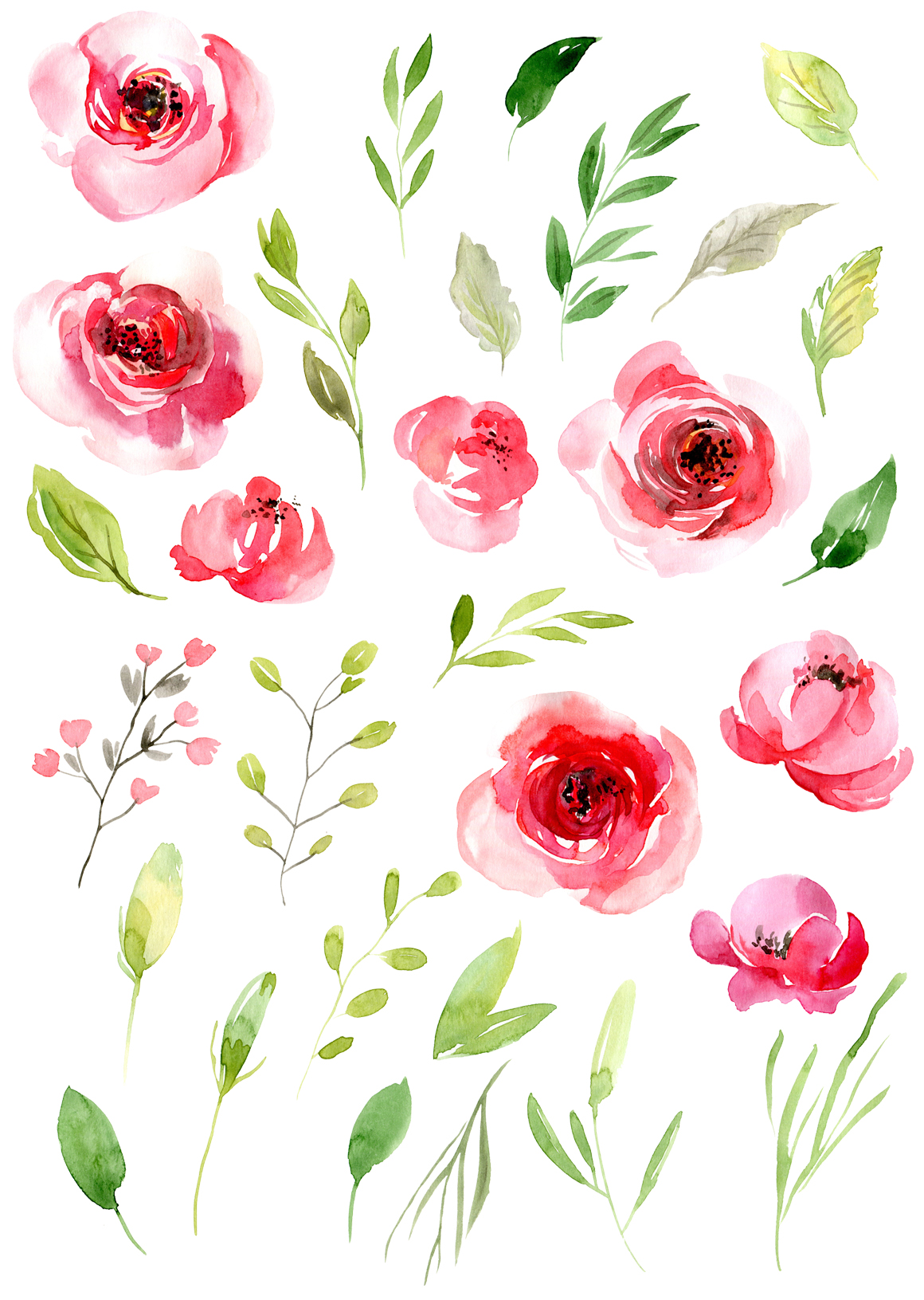 1160x1631 Watercolor Pink Roses Flowers Leaves By Watercolorflowers - Watercolor Pink Flowers